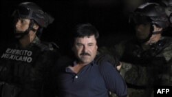 Joaquin "El Chapo" Guzman ki te rive nan vil Meksik anba men lapolis aprè yon kokenn chenn operasyon nan rejyon Los Mochis, Eta Sinaloa, 8 janvye 2016.