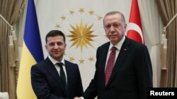 Erdogan and Zelensky