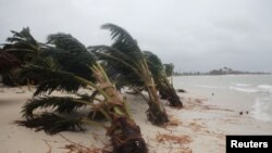 Bão Bolaven dự kiến sẽ mang mưa to và gió lớn tới các hòn đảo ở tỉnh Okinawa vào ngày mai.