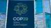 COP29 