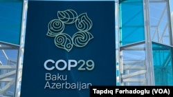 COP29 